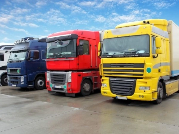 İzmir Bozkurt Nakliye